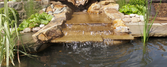 Ponds and Water Features